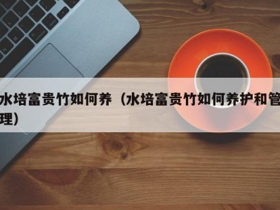 水培富贵竹如何养（水培富贵竹如何养护和管理）