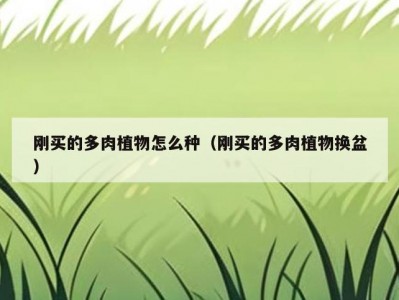 刚买的多肉植物怎么种（刚买的多肉植物换盆）