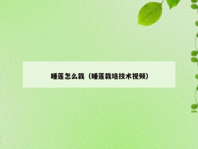 睡莲怎么栽（睡莲栽培技术视频）