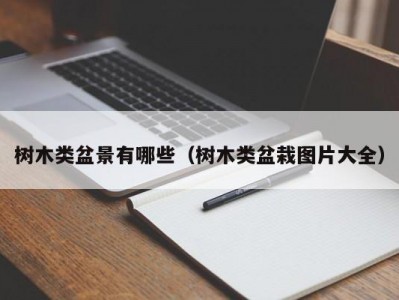 树木类盆景有哪些（树木类盆栽图片大全）