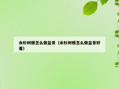 水杉树根怎么做盆景（水杉树根怎么做盆景好看）
