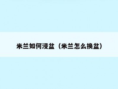 米兰如何浸盆（米兰怎么换盆）