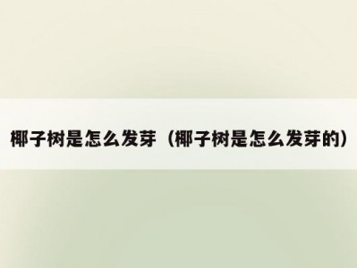 椰子树是怎么发芽（椰子树是怎么发芽的）