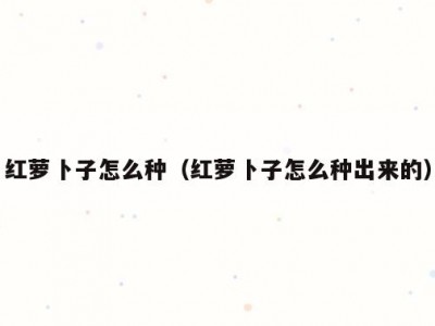 红萝卜子怎么种（红萝卜子怎么种出来的）