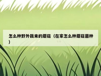 怎么种野外栽来的蘑菇（在家怎么种蘑菇菌种）