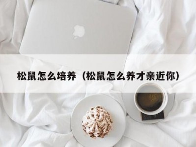 松鼠怎么培养（松鼠怎么养才亲近你）