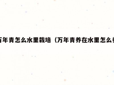 万年青怎么水里栽培（万年青养在水里怎么养）
