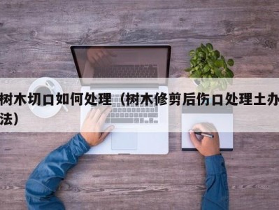 树木切口如何处理（树木修剪后伤口处理土办法）