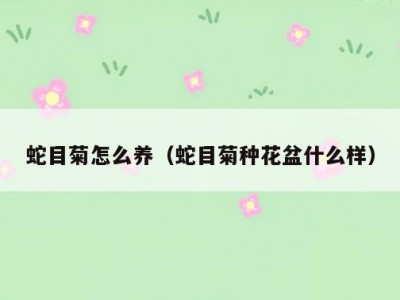 蛇目菊怎么养（蛇目菊种花盆什么样）