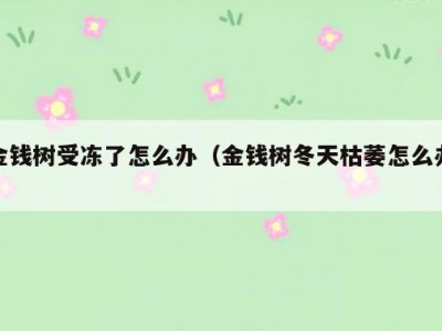 金钱树受冻了怎么办（金钱树冬天枯萎怎么办）