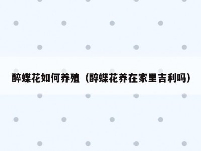 醉蝶花如何养殖（醉蝶花养在家里吉利吗）