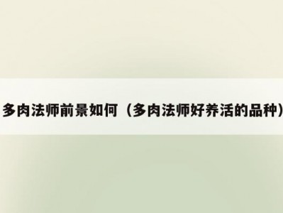 多肉法师前景如何（多肉法师好养活的品种）