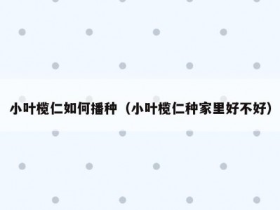 小叶榄仁如何播种（小叶榄仁种家里好不好）