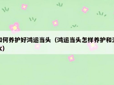 如何养护好鸿运当头（鸿运当头怎样养护和浇水）