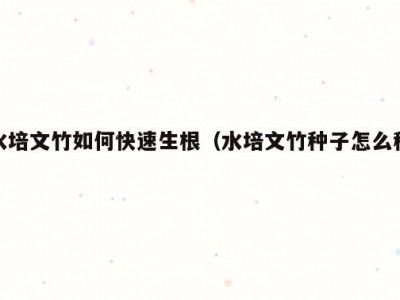 水培文竹如何快速生根（水培文竹种子怎么种）