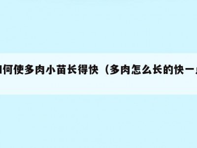 如何使多肉小苗长得快（多肉怎么长的快一点）