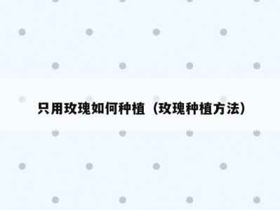只用玫瑰如何种植（玫瑰种植方法）