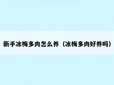 新手冰梅多肉怎么养（冰梅多肉好养吗）