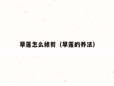 旱莲怎么修剪（旱莲的养法）