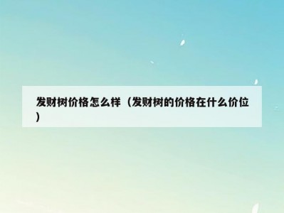 发财树价格怎么样（发财树的价格在什么价位）