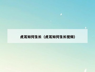 虎耳如何生长（虎耳如何生长视频）