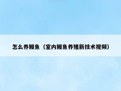 怎么养鳗鱼（室内鳗鱼养殖新技术视频）