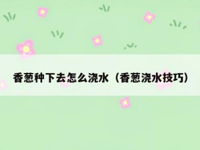 香葱种下去怎么浇水（香葱浇水技巧）