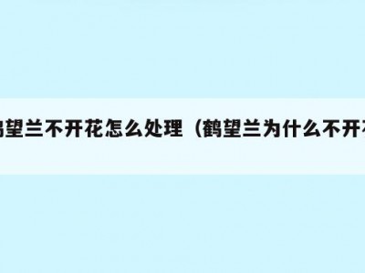 鹤望兰不开花怎么处理（鹤望兰为什么不开花）