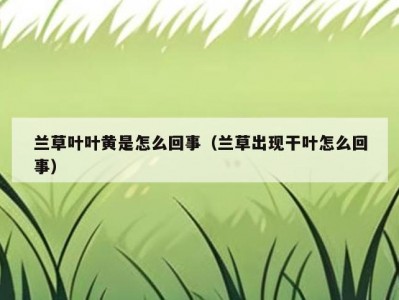 兰草叶叶黄是怎么回事（兰草出现干叶怎么回事）