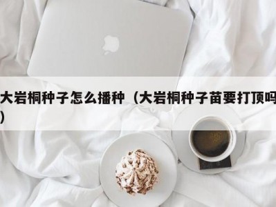 大岩桐种子怎么播种（大岩桐种子苗要打顶吗）
