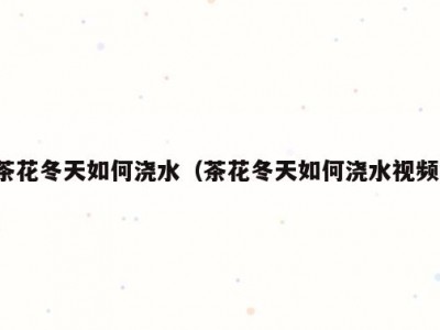 茶花冬天如何浇水（茶花冬天如何浇水视频）