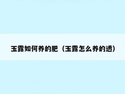 玉露如何养的肥（玉露怎么养的透）