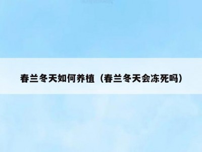 春兰冬天如何养植（春兰冬天会冻死吗）