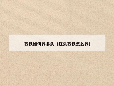 苏铁如何养多头（红头苏铁怎么养）
