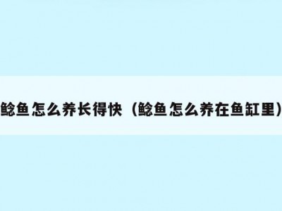 鲶鱼怎么养长得快（鲶鱼怎么养在鱼缸里）
