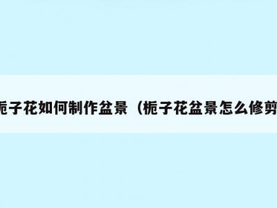 栀子花如何制作盆景（栀子花盆景怎么修剪）