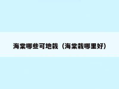 海棠哪些可地栽（海棠栽哪里好）