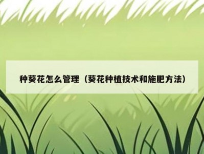 种葵花怎么管理（葵花种植技术和施肥方法）