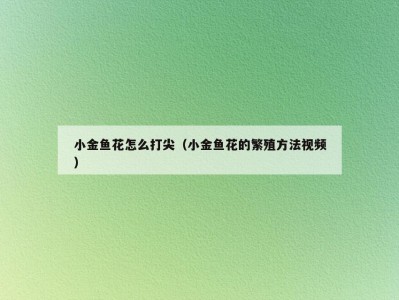 小金鱼花怎么打尖（小金鱼花的繁殖方法视频）