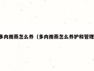多肉雨燕怎么养（多肉雨燕怎么养护和管理）