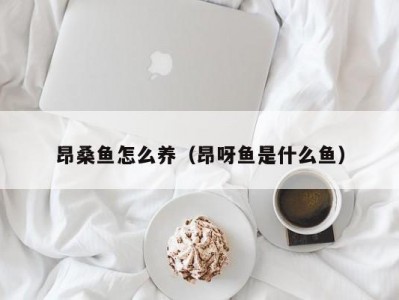 昂桑鱼怎么养（昂呀鱼是什么鱼）