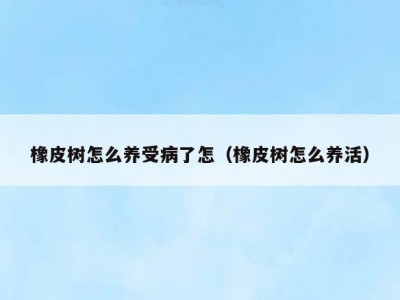 橡皮树怎么养受病了怎（橡皮树怎么养活）