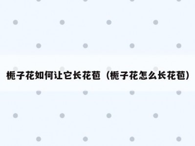 栀子花如何让它长花苞（栀子花怎么长花苞）