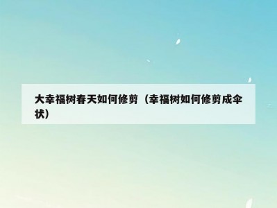 大幸福树春天如何修剪（幸福树如何修剪成伞状）