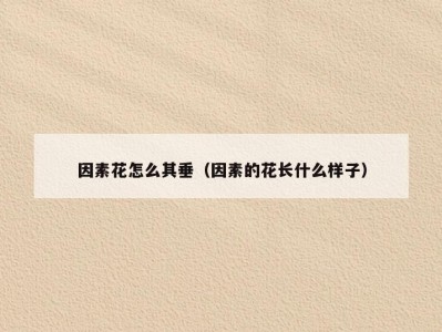 因素花怎么其垂（因素的花长什么样子）