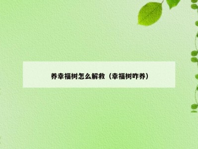 养幸福树怎么解救（幸福树咋养）