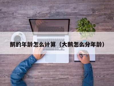 鹅的年龄怎么计算（大鹅怎么分年龄）