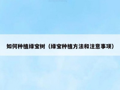 如何种植绿宝树（绿宝种植方法和注意事项）