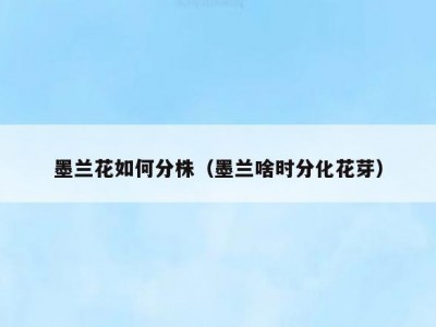 墨兰花如何分株（墨兰啥时分化花芽）