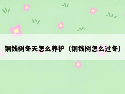 铜钱树冬天怎么养护（铜钱树怎么过冬）